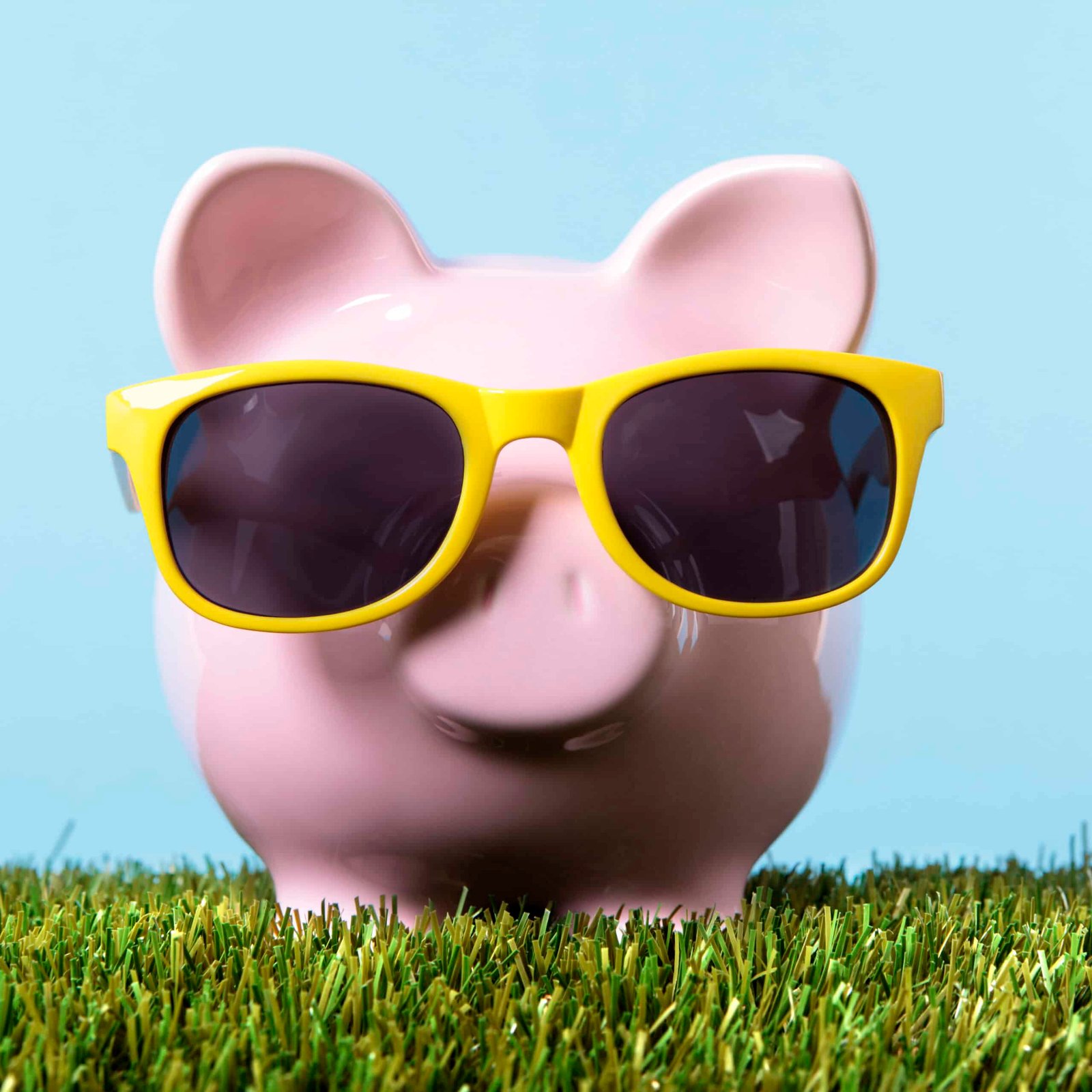 piggy bank grass freedom wealth concept scaled - Hypnose Arrêt Tabac